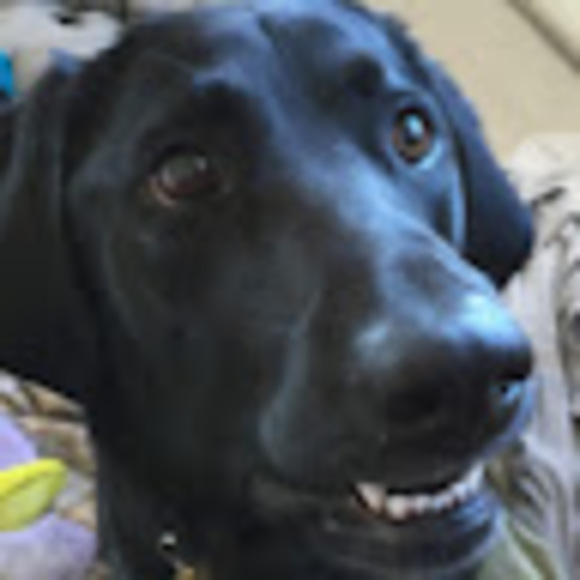 Meet your Posher, Stacey - Picture 1 of 1